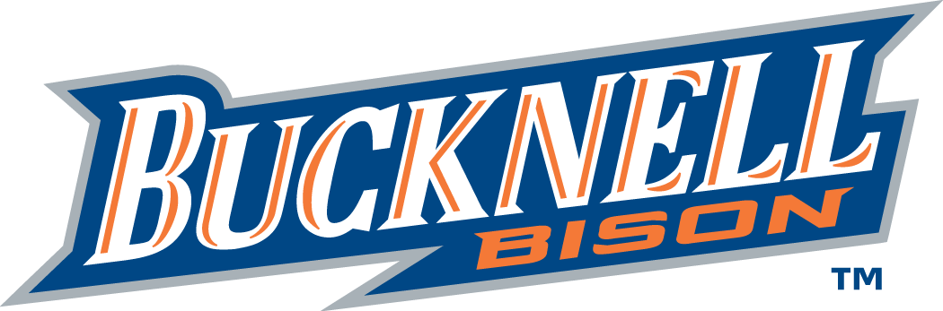 Bucknell Bison 2002-Pres Wordmark Logo v2 iron on transfers for fabric